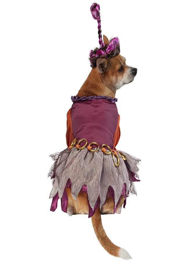 روبيز زي تنكري للحيوانات الأليفة مستوحى من فيلم ديزني هوكوس بوكوس: زي ماري ساندرسون للكلاب أو القطط من روبيز، مقاس صغير - Image 4